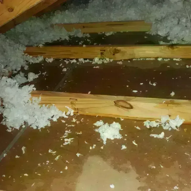 Attic Water Damage in Irondale, GA