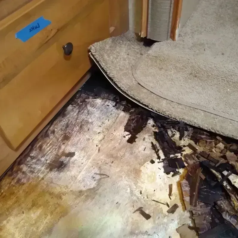 Wood Floor Water Damage in Irondale, GA